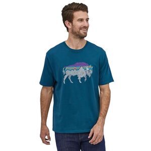 Mens Patagonia Short Sleeve